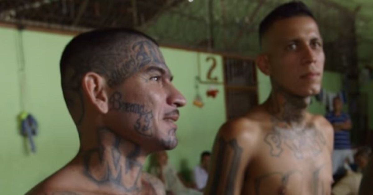 MS-13, illegal immigration