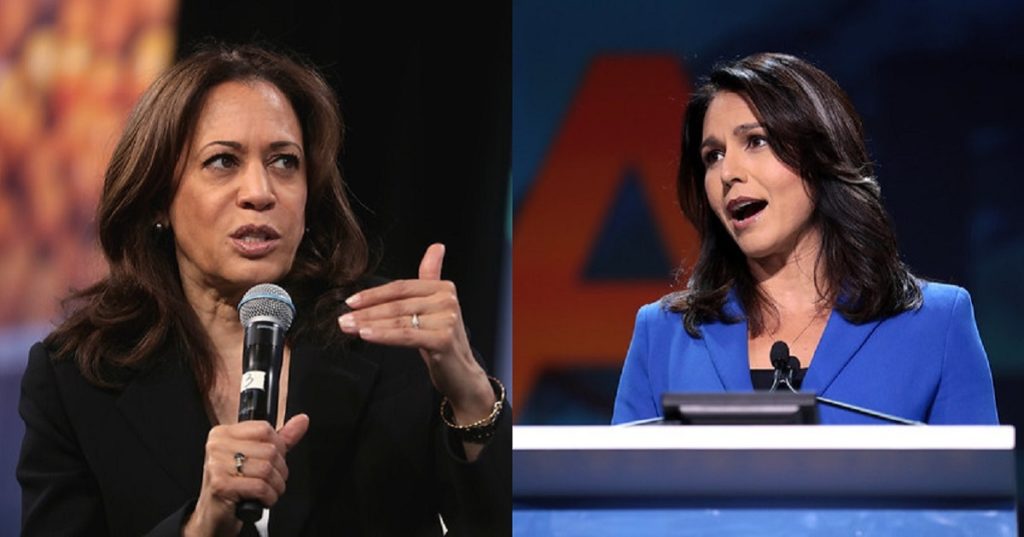 tulsi gabbard, kamala harris