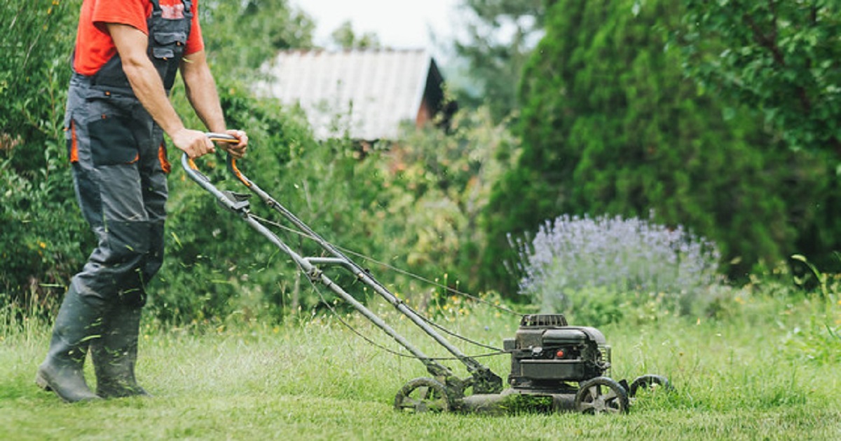 illegals good for cutting grass Tom Malinowski